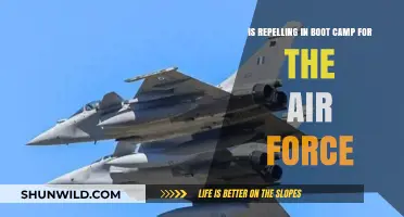 Air Force Boot Camp: Understanding the Role of Repelling in Training