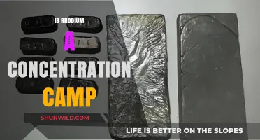 Unraveling the Myth: Is Rhodium Linked to Concentration Camps?