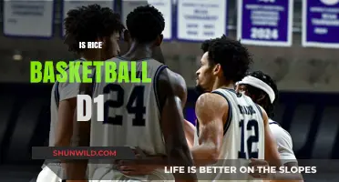Rice Owls Basketball: A D1 Team Soaring High