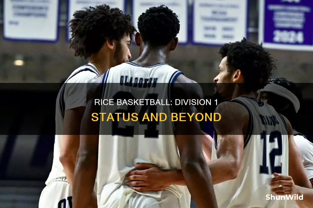 is rice division 1 for basketball