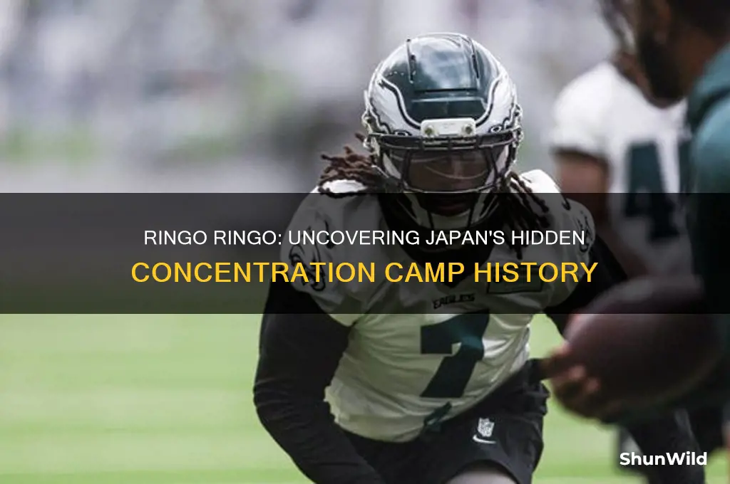 is ringo ringo japanese concentration camp