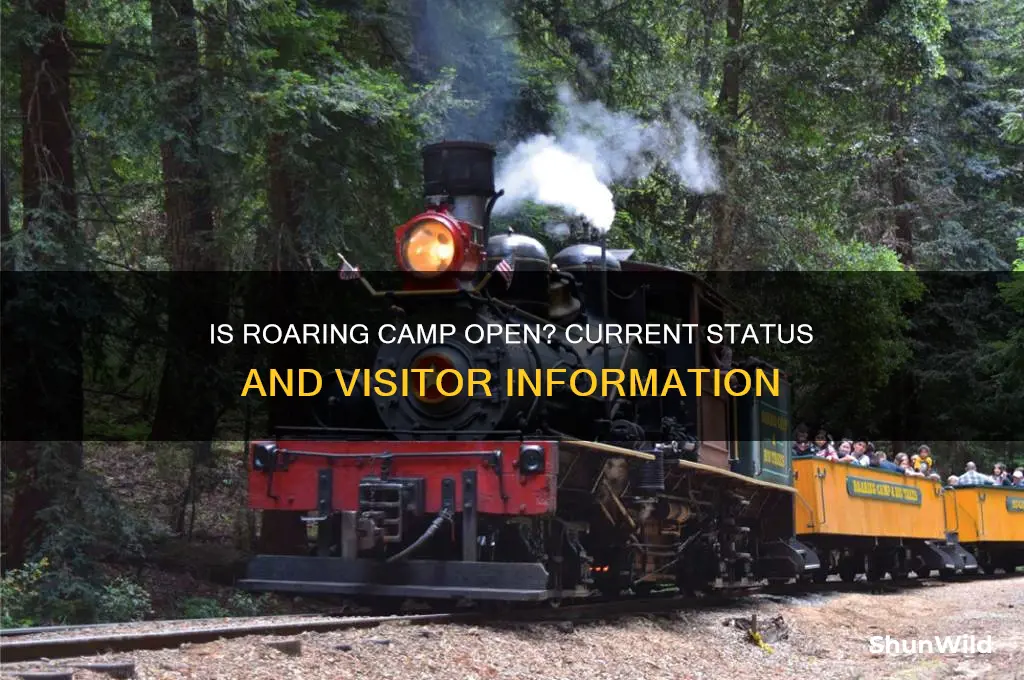 is roaring camp open