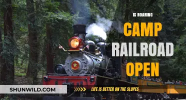 Is Roaring Camp Railroad Open? Current Status and Visitor Guide