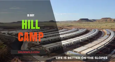 Exploring Roy Hill Camp: Facilities, Life, and Work Experience