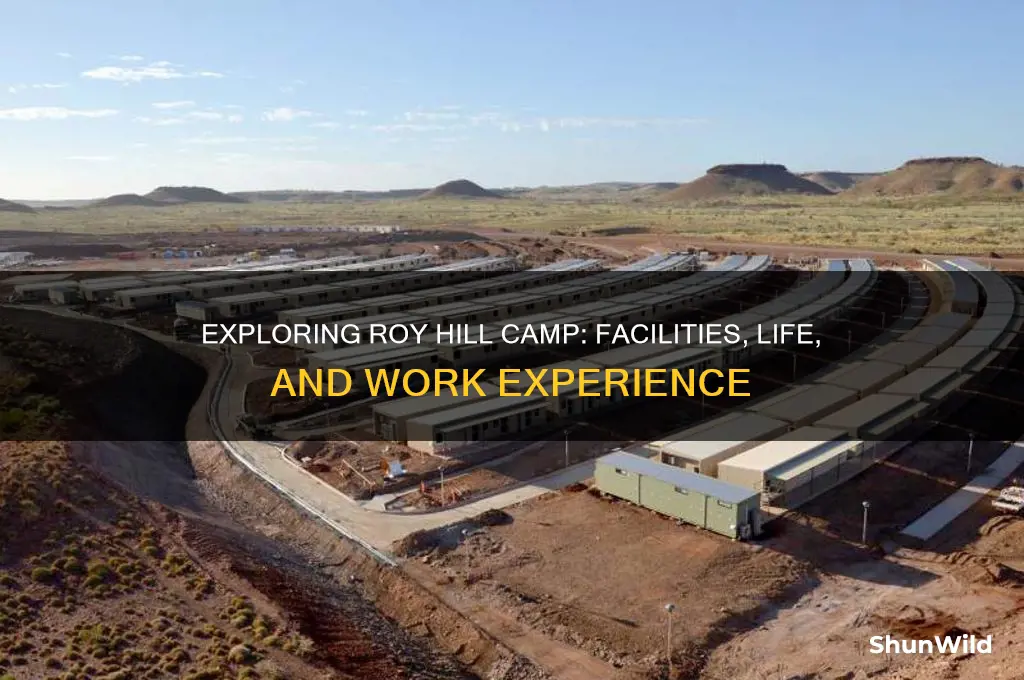 is roy hill camp