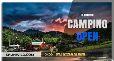 Is Ruidoso Camping Open? Current Status and Updates for Campers