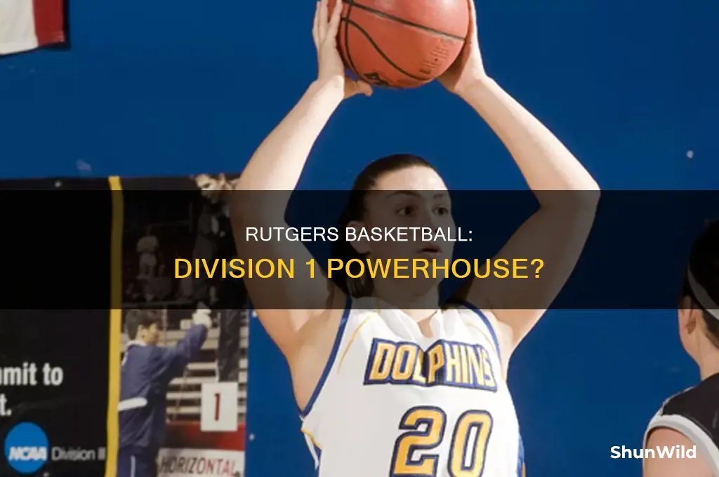 is rutgers basketball division 1