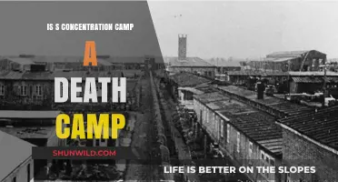 Concentration Camps vs. Death Camps: Understanding the Historical Difference