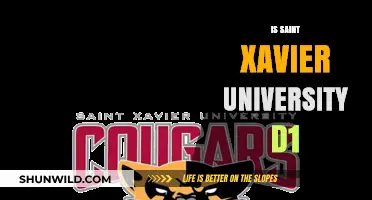 Saint Xavier University: Division or Not?