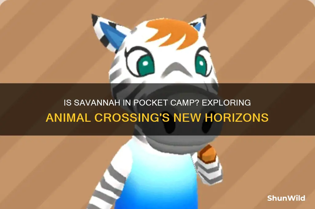 is savannah in pocket camp