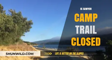 Is Sawyer Camp Trail Closed? Current Status and Updates for Hikers