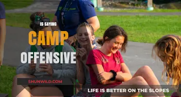Is 'Camp' Offensive? Decoding the Term's Cultural Sensitivity