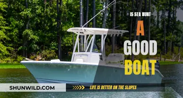 Sea Hunt Boats: Are They Worth the Hype?