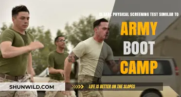 Is SEAL Physical Screening Test Like Army Boot Camp? Exploring the Differences