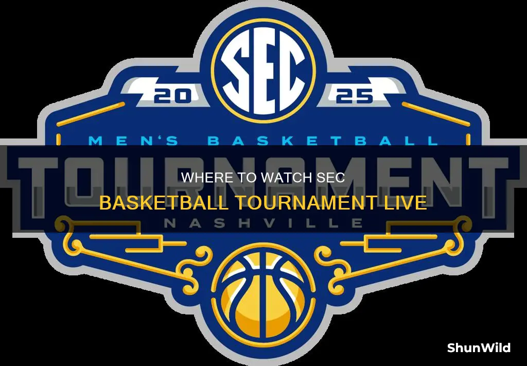 is sec basketball tournament televised