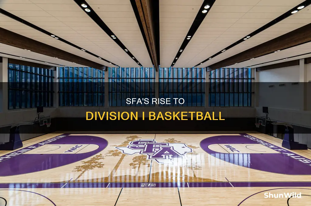 is sfa division 1 basketball