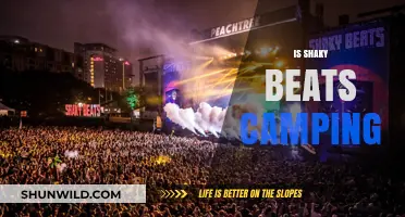 Is Shaky Beats Camping Worth It? A Festival-Goer's Guide