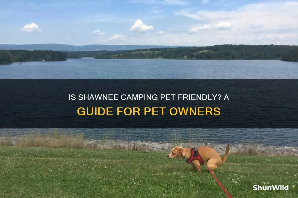 is shawnee camping pet friendly