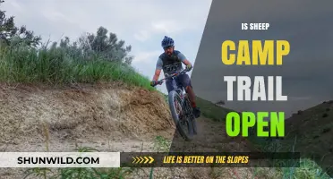 Is Sheep Camp Trail Open? Current Status and Hiking Updates