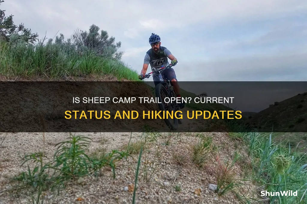 is sheep camp trail open