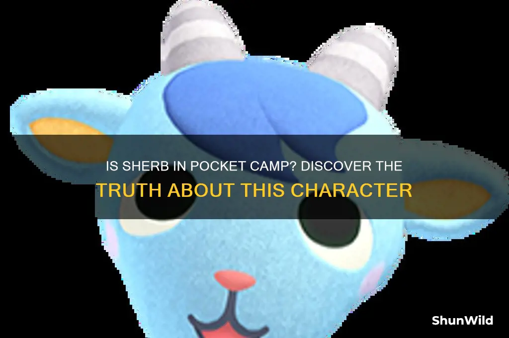 is sherb in pocket camp