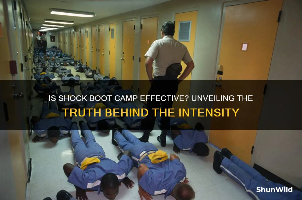 is shock boot camp effective