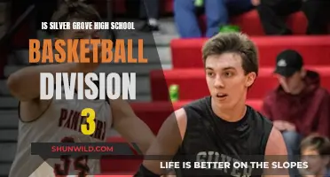 Silver Grove High School: Basketball Division 3 Status