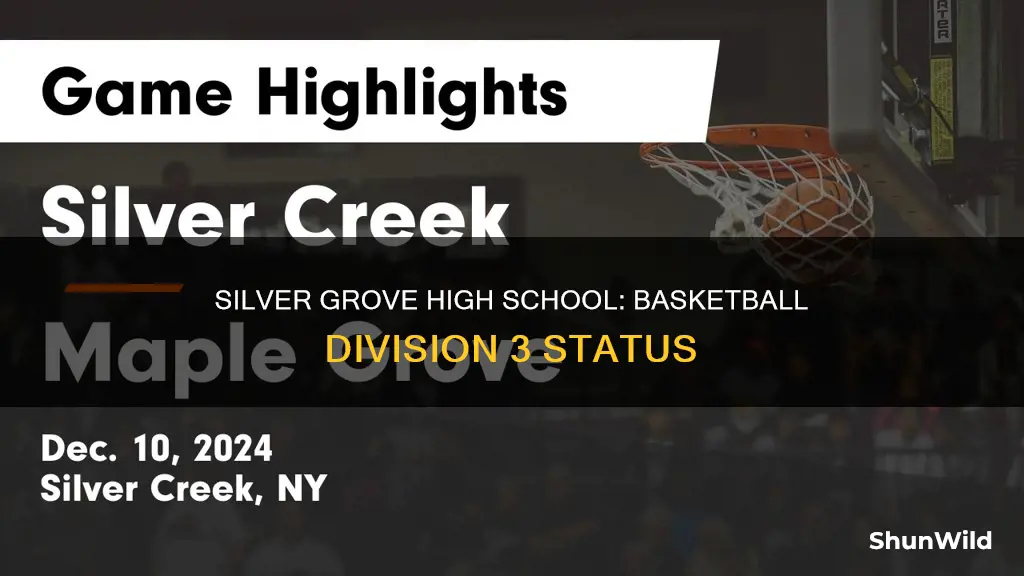 is silver grove high school basketball division 3