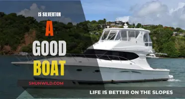 Silverton Boats: Performance and Luxury Reviewed