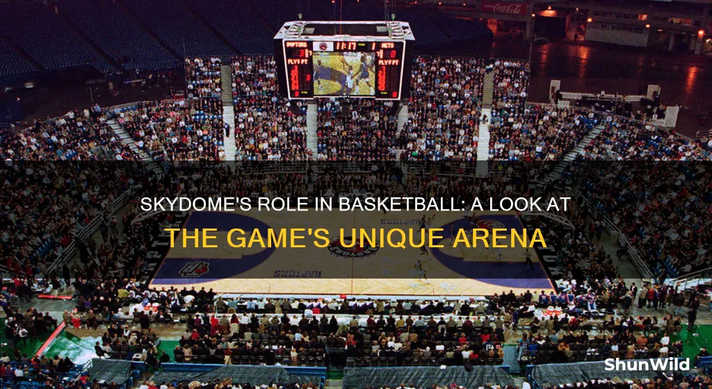 is skydome used for basketball