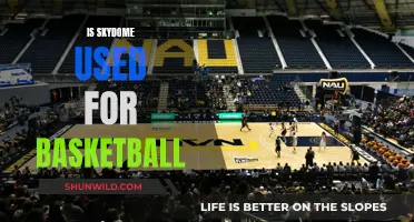 SkyDome: Basketball's Home in Toronto's Stadium