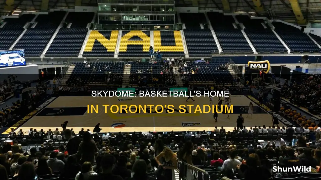 is skydome used for basketball