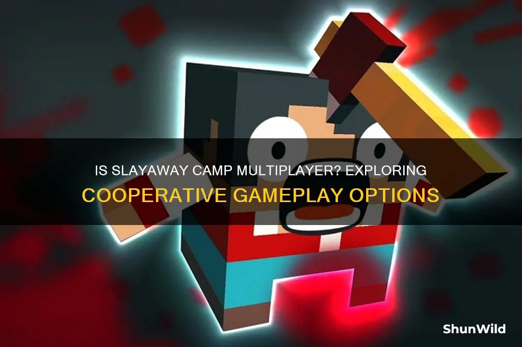 is slayaway camp multiplayer