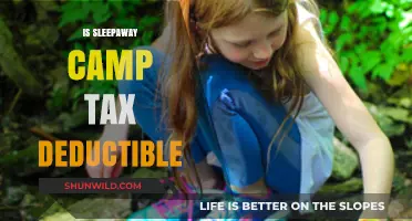 Can Sleepaway Camp Costs Be Claimed as a Tax Deduction?