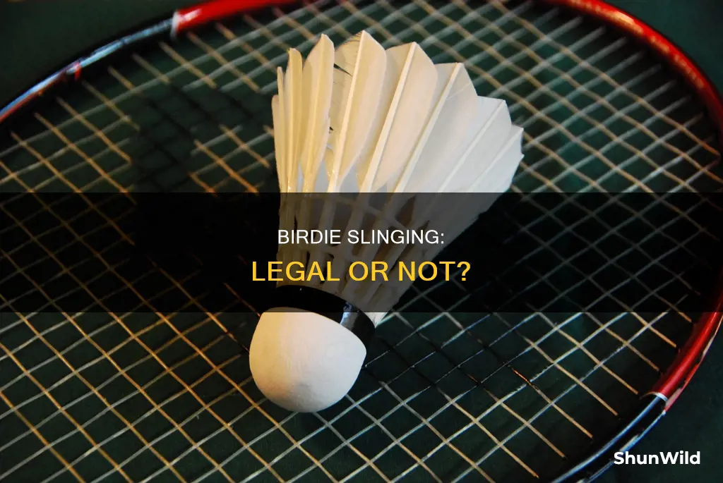 is slinging the birdie a violation in badminton