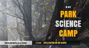 Exploring Nature: Is Sly Park Science Camp Right for Your Child?