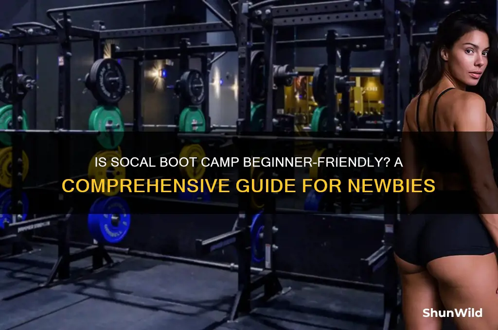 is so cal boot camp for beginners