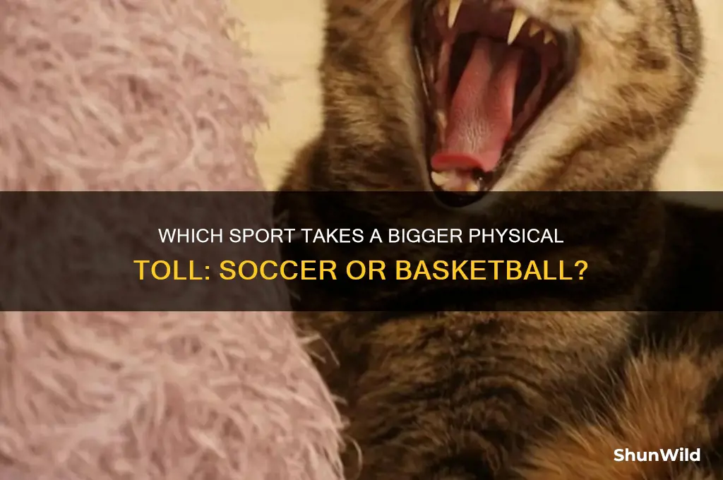 is soccer or basketball more physically demanding
