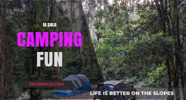 Solo Camping: Discovering Peace, Adventure, and Self in Nature's Embrace