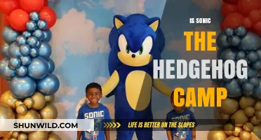 Sonic the Hedgehog: A Campy Icon or Serious Speedster?