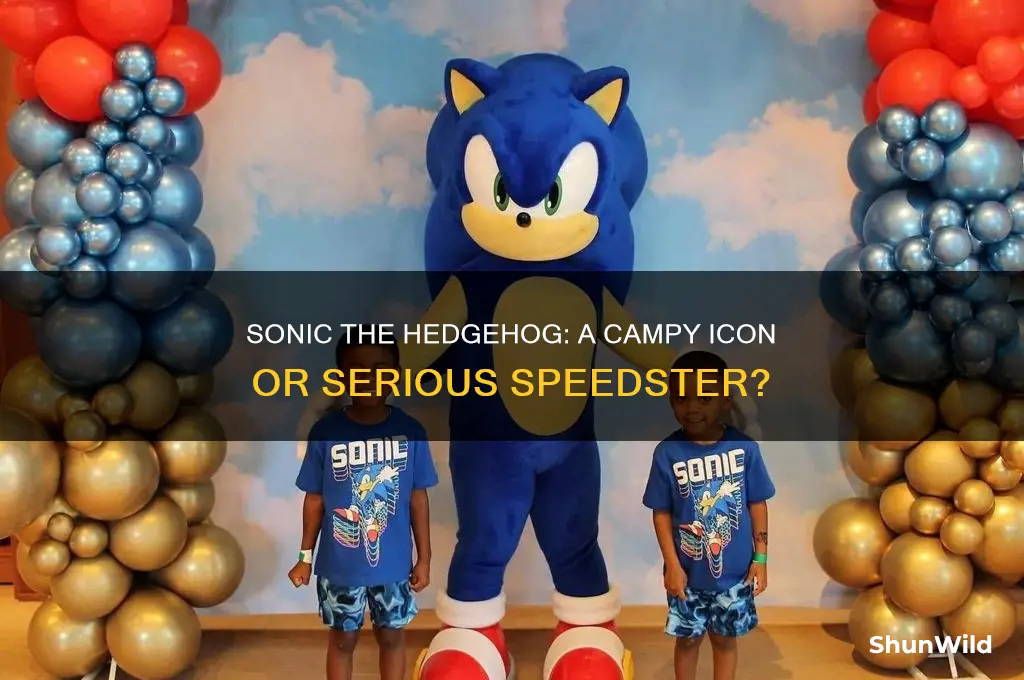is sonic the hedgehog camp