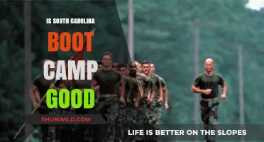 Is South Carolina Boot Camp Worth It? Pros, Cons, and Reviews