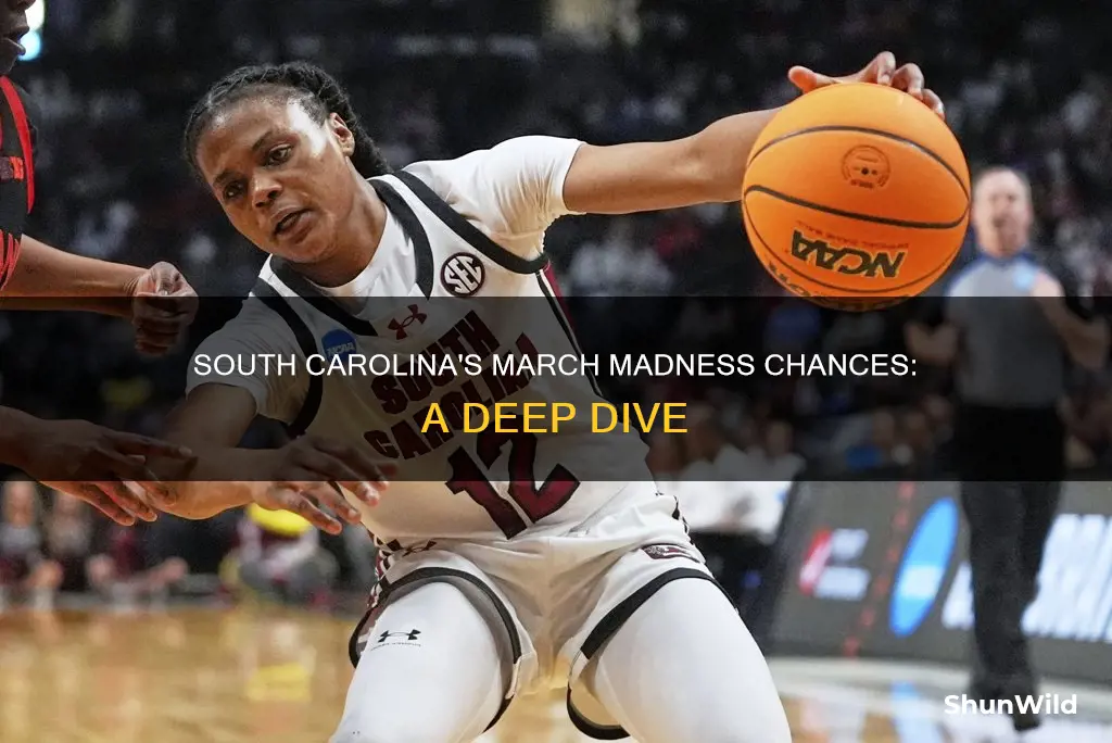 is south carolina men