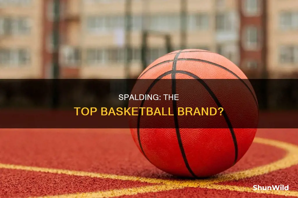 is spalding the best basketball brand