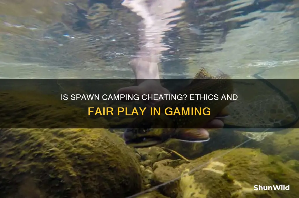 is spawn camping cheating