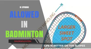 Spiking in Badminton: Is It Legal?
