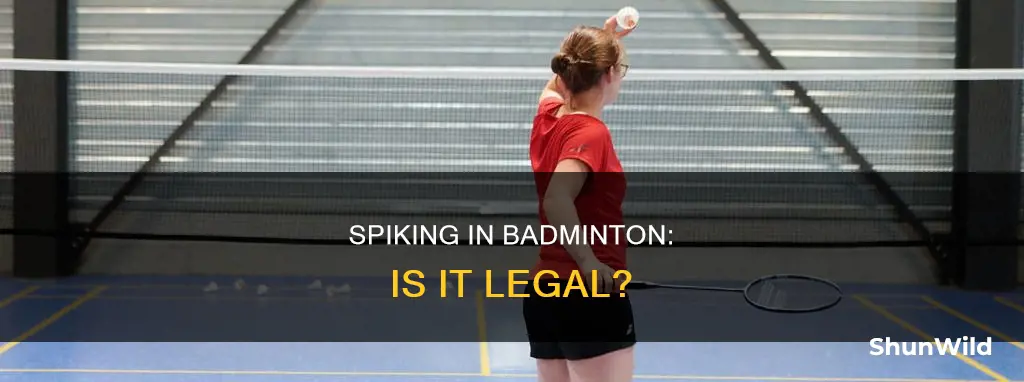 is spiking allowed in badminton