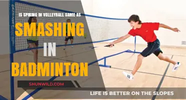 Spiking and Smashing: Similarities in Volleyball and Badminton
