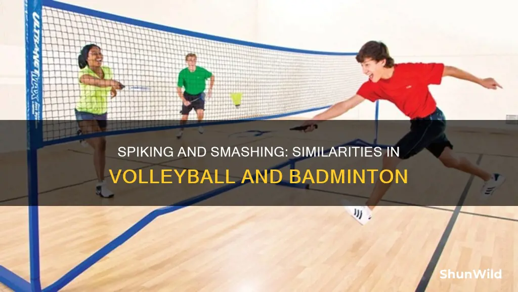 is spiking in volleyball same as smashing in badminton