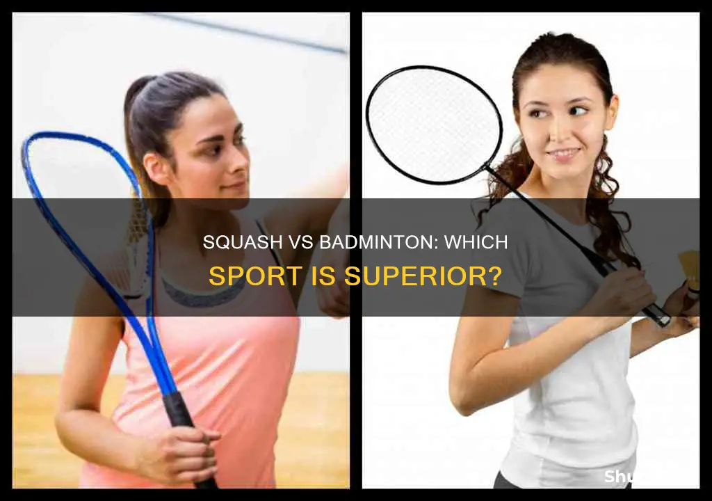 is squash better than badminton